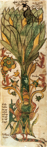 Datei:AM 738 4to Yggdrasill.png