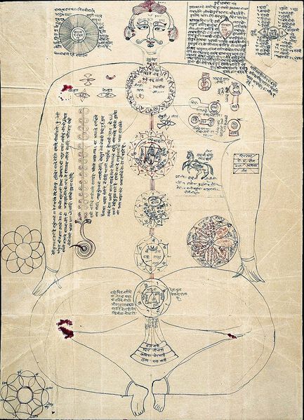 Datei:Indic Manuscript L0024647.jpg