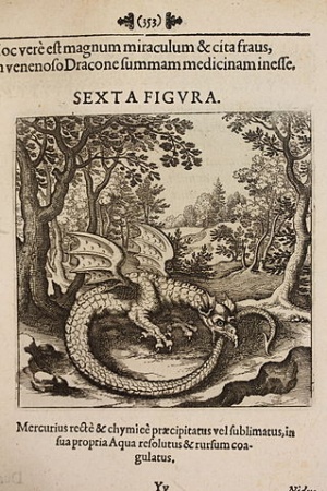 Dragon 0049.JPG