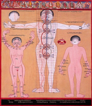 Chakras and energy channels.jpg