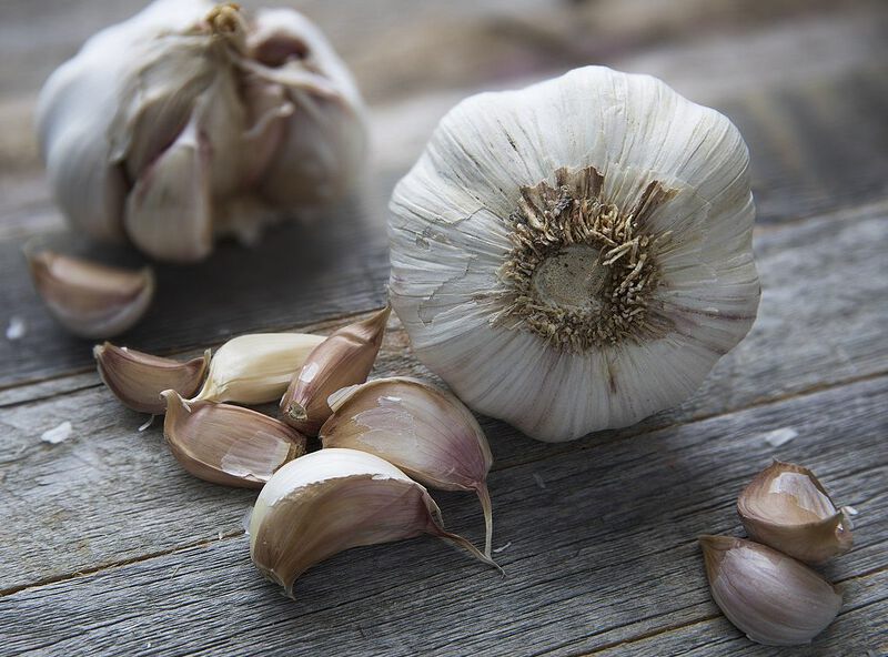 Datei:Knoblauch1.jpg