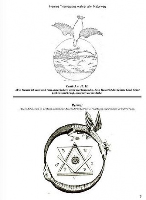 Hermes-natur2.jpg
