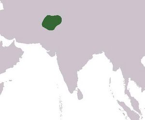 Gandhara.jpg
