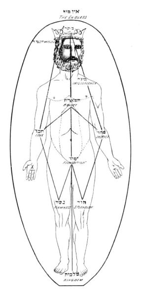 Datei:Adamtree.jpg