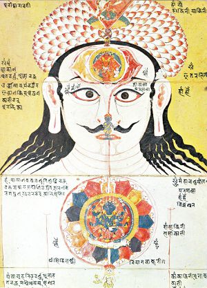 Brow Throat Chakras.jpg