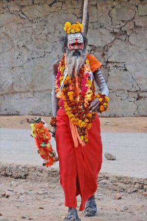 Vrai ou faux Sadhu.jpg