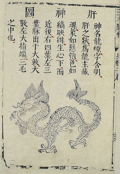 Datei:The spirit of the liver.jpg