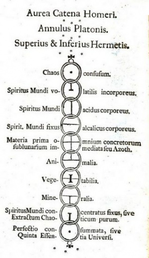 Aureacat1.jpg
