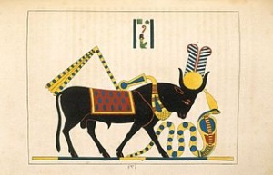 Apis N372.2.jpg